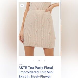 ASTR Tea Party Floral Embroidered Knit Mini Skirt in Blush Flower